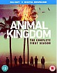 Animal Kingdom: The Complete First Season (Blu-ray + UV Copy) (UK Import ohne dt. Ton) Blu-ray