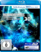 Aquadreams: Rochenhaie 3D (Blu-ray 3D) Blu-ray