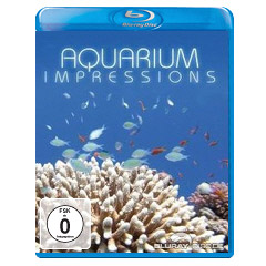 Aquarium-Impressions.jpg