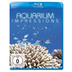 Aquarium-Impressions.webp