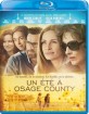 Un Été à Osage County (FR Import ohne dt. Ton) Blu-ray