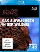 Austin Stevens - Der kleine Leopard: Das Aufwachsen in der Wildnis Blu-ray