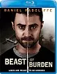 Beast of Burden (2018) (Region A - US Import ohne dt. Ton) Blu-ray