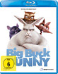 Big Buck Bunny Blu-ray