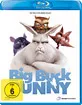 Big Buck Bunny Blu-ray