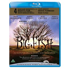 Big-Fish-2003-DK-Import.webp