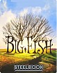 Big Fish: Storie di una Vita Incredibile - Steelbook (IT Import ohne dt. Ton) Blu-ray