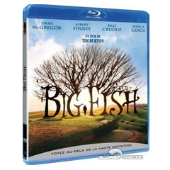 Big-Fish-FR.webp