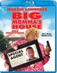 Big Momma's House (CA Import ohne dt. Ton) Blu-ray