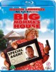 Big Momma's House (DK Import ohne dt. Ton) Blu-ray