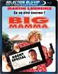 Big Mamma - Selection Blu-VIP (Blu-ray + DVD) (FR Import ohne dt. Ton) Blu-ray
