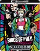 Birds of Prey: And the Fantabulous Emancipation of One Harley Quinn 4K - Zavvi Exclusive Limited Edition Illustrated Artwork Steelbook (4K UHD + Blu-ray) (UK Import) Blu-ray