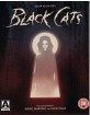 Edgar Allan Poes Black Cats: Two Adaptations by Sergio Martino & Lucio Fulci (Blu-ray + DVD) (UK Import ohne dt. Ton) Blu-ray