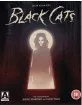 Edgar Allan Poes Black Cats: Two Adaptations by Sergio Martino & Lucio Fulci (Blu-ray + DVD) (UK Import ohne dt. Ton) Blu-ray