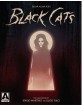 Edgar Allan Poes Black Cats: Two Adaptations by Sergio Martino & Lucio Fulci (Blu-ray + DVD) (US Import ohne dt. Ton) Blu-ray