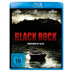 Black-Rock-2012-DE.jpg