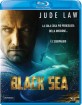 Black Sea (2014) (IT Import ohne dt. Ton) Blu-ray
