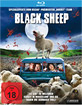 Black-Sheep-2006_klein.jpg