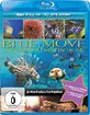Blue Move - Unterwasserwelten in HD Blu-ray