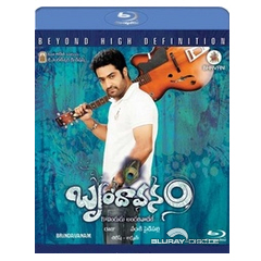 Brindavanam-US.webp