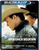 Le Secret de Brokeback Mountain (2005) - Selection Blu-VIP (Blu-ray + DVD) (FR Import ohne dt. Ton) Blu-ray