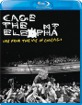 Cage the Elephant - Live from the Vic in Chicago (US Import) Blu-ray