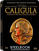 Caligula - Aufstieg und Fall eines Tyrannen (Limited Steelbook Edition) (Blu-ray + Bonus-DVD) (AT Import) Blu-ray