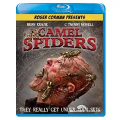 Camel-Spiders-US.webp
