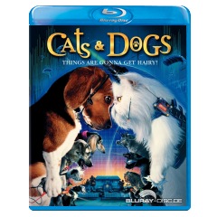 Cats-and-Dogs-US.webp