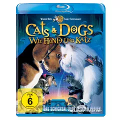 Cats-and-Dogs.webp