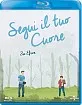 Segui il tuo cuore (Neuauflage) (IT Import) Blu-ray