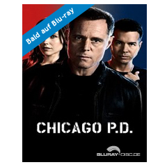 Chicago-PD-Staffel-1-DE.webp