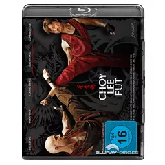 Choy-Lee-Fut.webp