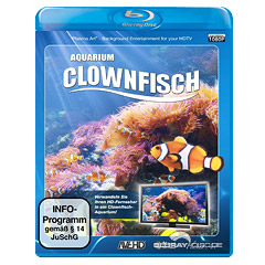 Clownfisch-Aquarium.webp
