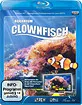 Clownfisch-Aquarium HD Blu-ray