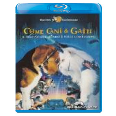 Come-Cani-Gatti-IT.webp