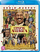 Coming 2 America (UK Import ohne dt. Ton) Blu-ray