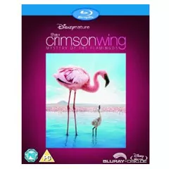 Crimson-Wing-UK.webp