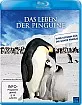 Das Leben der Pinguine Blu-ray