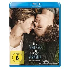 Das-Schicksal-ist-ein-mieser-Verräter-CH.webp