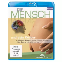 Der-Mensch-und-sein-Koerper-1.webp