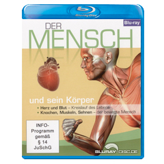 Der-Mensch-und-sein-Koerper-2.webp