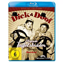 Dick-und-Doof-Fliegende-Teufelsbrueder.webp