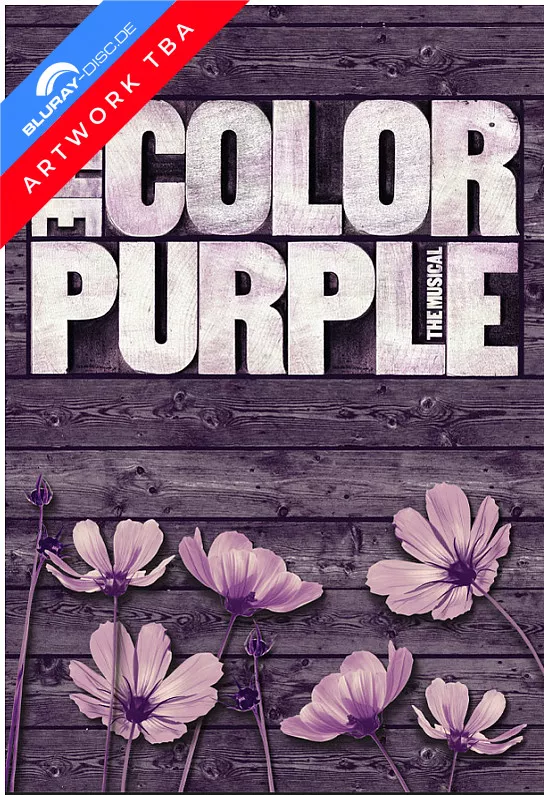 Die-Farbe-Lila-2023-draft-DE.webp