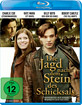 Die Jagd nach dem Stein des Schicksals Blu-ray