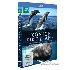 Die-Koenige-der-Ozeane.webp