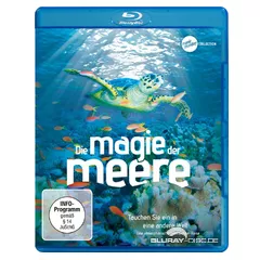 Die-Magie-der-Meere.webp