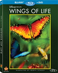 Disneynature: Wings of Life (Blu-ray + DVD) (US Import ohne dt. Ton) Blu-ray