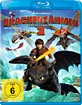 Drachenzähmen leicht gemacht 2 (Blu-ray + UV Copy) Blu-ray