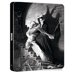 Dracula-1931-Alex-Ross-Edition-Steelbook-IT-Import.jpg